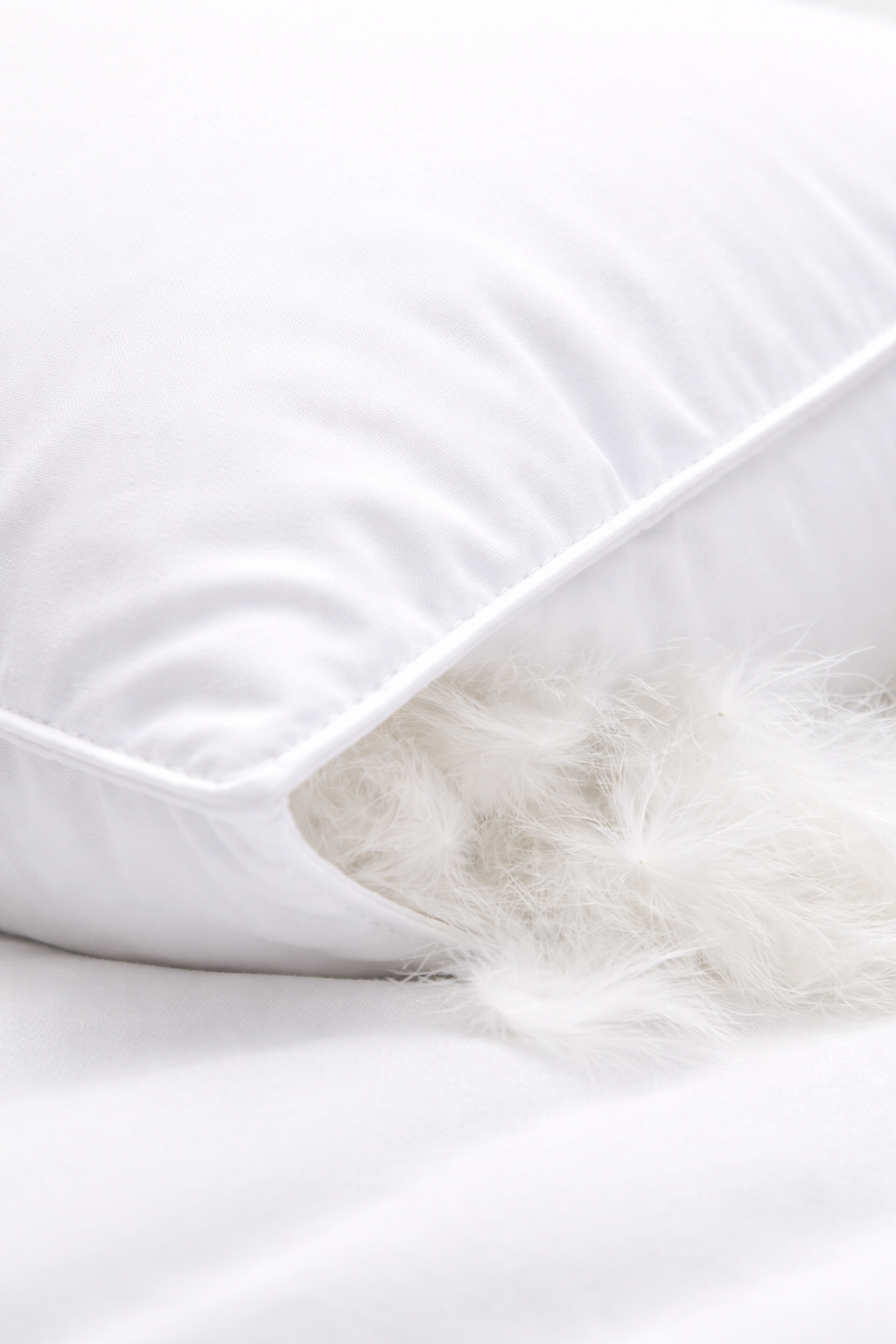 Oreiller 100% plumes d’oie